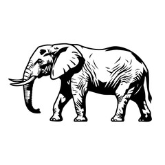 Elephant Line Art Vector Illustration Isolated on White