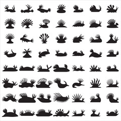 Sea Slug Svg Clip Art