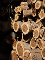 Stacked dry firewood logs with rough bark and visible annual rings in natural sunlight