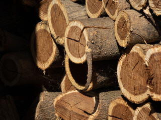 Stacked dry firewood logs with rough bark and visible annual rings in natural sunlight