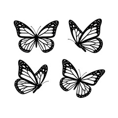 Obraz premium Four black and white butterflies with detailed wings on white background