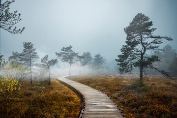 Weg durch das Schwarze Moor in der Rh&ouml;n, Bayern, Deutschland