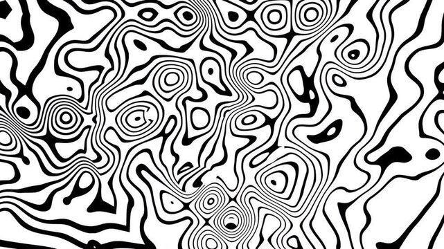 Zebra animation flowing rounded black and white lines create abstract zebra pattern animation art.