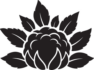 black rose flower illustration