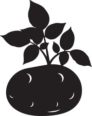 plant growing in pot