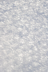snow on the snow. white texture. snow covered with frost. ice on the snow. white background
