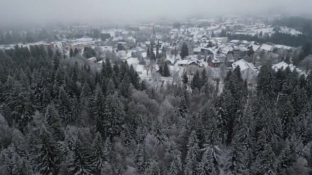 Winter Drone Flight Over Snowy Pine Forest in Thuringian Mountains, Germany, 4K