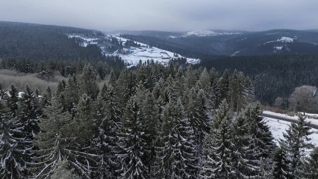 Winter Drone Flight Over Snowy Pine Forest in Thuringian Mountains, Germany, 4K
