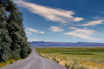 Oregon Gravel Roading Leading to Mountains