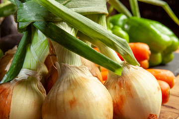 vegetables for preparing meat for cooking