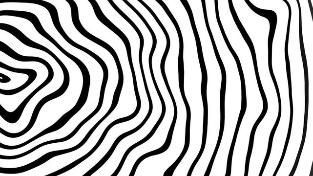Zebra animation shows abstract wavy black and white lines mimicking zebra stripes pattern.
