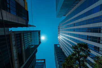 Fototapete bei efototapeten.de bestellen   