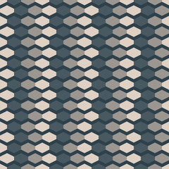 Geometric Repeating Hexagon Pattern in Tonal Neutral Shades Background Texture