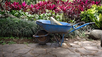 Industrial blue garden cart and landscaping tool positioned in a park setting, featuring a background of colorful ornamental plants and natural stone walkway.