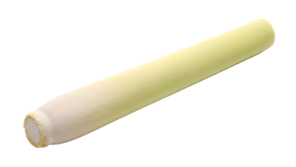 Close up of a smooth elongated ivory object on a black background