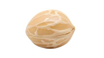 A close up view of a smooth beige colored stone with intricate natural patterns on its surface