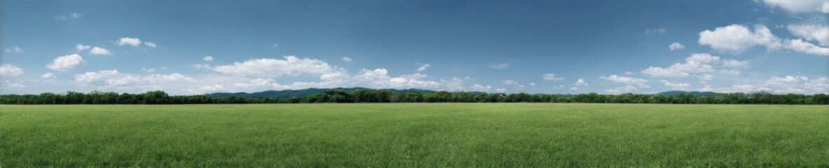Obraz premium Expansive green field under vast blue sky with scenic mountain view