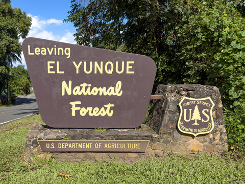 El Yunque National Forest Sign in Puerto Rico