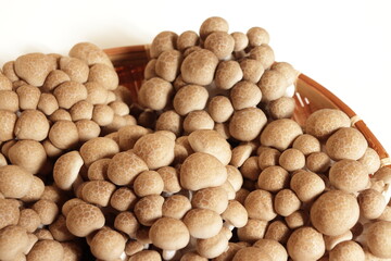 A photo of shimeji mushrooms served in a colander