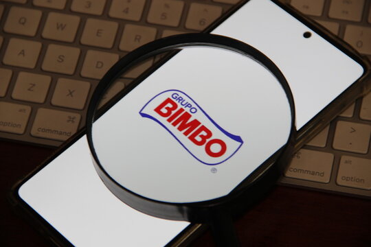 Bimbo - Bra&ccedil;o brasileiro do Grupo Bimbo - Empresa de panifica&ccedil;&atilde;o. 