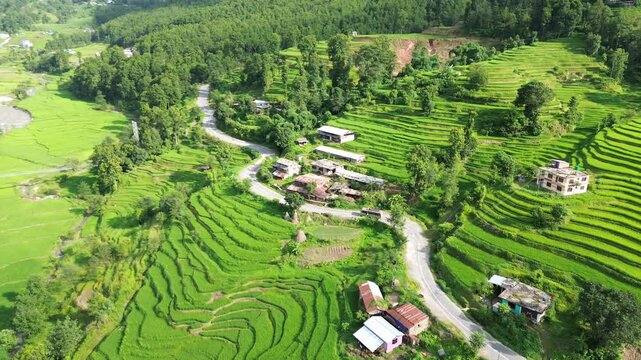 Aerial Drone View of Nuwakot Valley with a Beautiful Road Along Hills and Paddy Fields