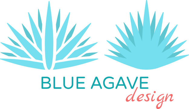 A set of two minimalistic logotypes of blue agave, the plant used for tequila production. Alcohol and pharmacy. Traditions of Mexica. Geometric flat icons
