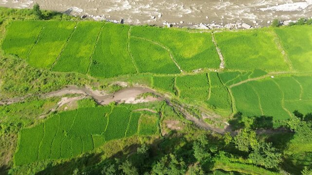 Aerial Drone View of Nuwakot Valley with a Beautiful River Along Hills and Paddy Fields