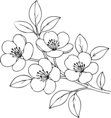 Quince flower line drawings, hand-painted Honeysuckle flower wall art, Quince flowers botanical wall art, simple Quince drawing outline honeysuckle flower drawing, Quince flowers line art