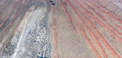 sparse vegetation on red dunes and pan in Kalahari desert, near Auob Camp, Namibia