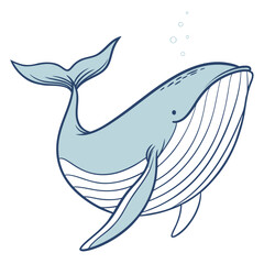 Illustrated humpback whale © Akshay
