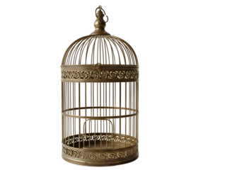 Ornate gold birdcage isolated on transparent background