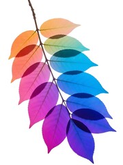 Colorful rainbow leaves on a branch isolated on white background