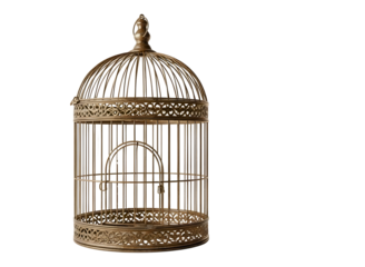 Ornate gold birdcage with decorative details isolated on transparent background