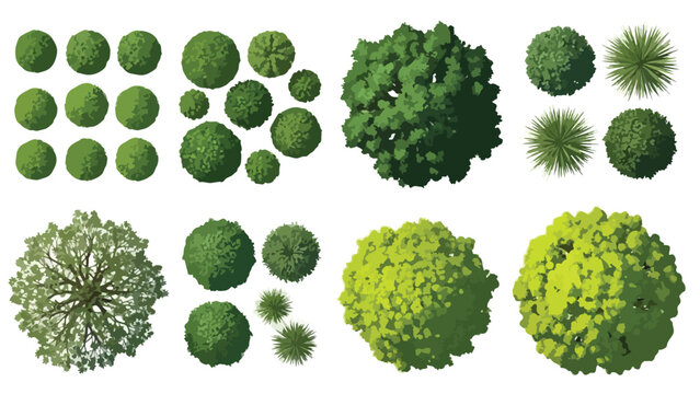 Top View Green Trees and Shrubs Vector Set for Landscape Design