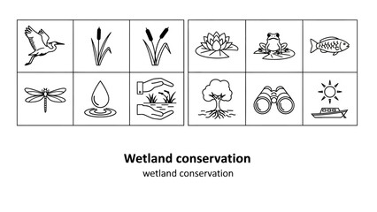 Wetland conservation icons representing flora, fauna, and human impact