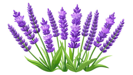 Naklejka premium Very beautiful 3D rendering illustration of lavender flowers isolated on white background, presenting realistic textures and soft lighting, perfect for modern clip art, design assets, and clean visual