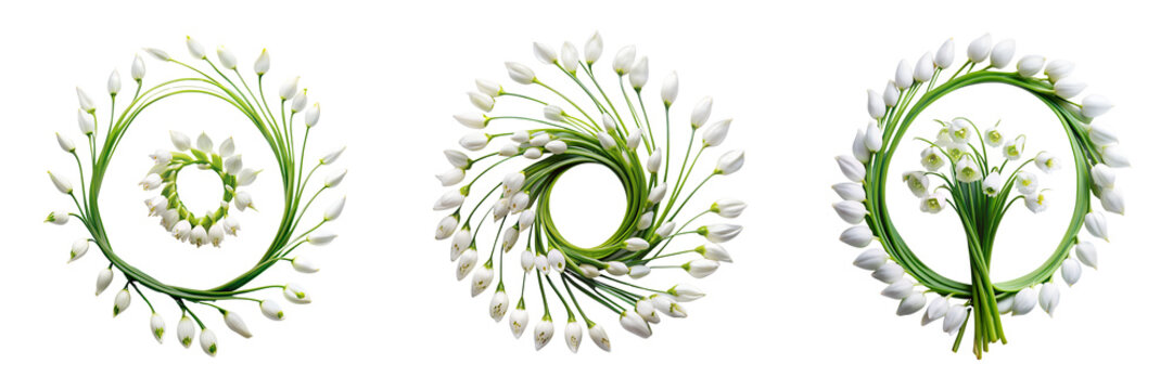 Set of A flower Spiral Fragrant Snowbell isolated on a transparent background