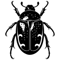 Black and white detailed vector illustration of a beetle viewed from above, with textured glossy wings, dotted pattern, and ornate markings, isolated on a white background.