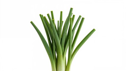 Fresh green onion stalks with hollow centers and long, slender shape. Vegetables and herbs, healthy eating, culinary ingredients. The concept of fresh vegetables.