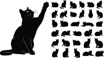 Cat silhouette collection, feline poses, sitting cat, grooming, stretching, black vector art, animal behavior, pet icon set, flavector © MdMasud