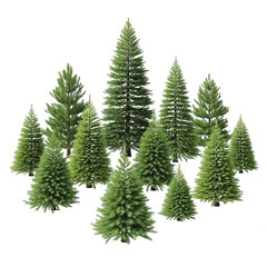Obraz premium Collection of pine trees isolated on transparent background