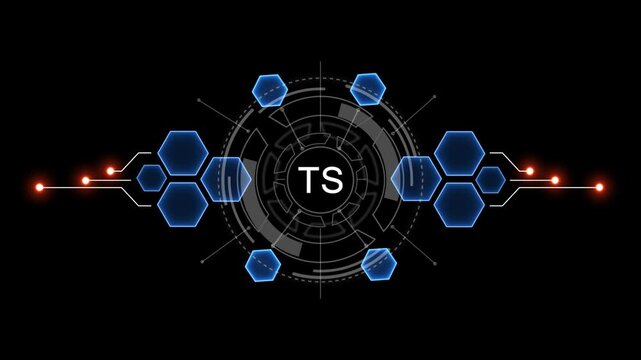 Internet, business, Technology and network concept. TS Software concept as an innovation. Virtual button on black background. 4k video
