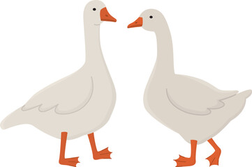 Illustration with pair of geese standing together. Two countryside birds isolated on white background