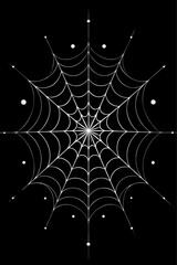 spider web with dew drops