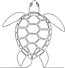 Fototapeta premium Detailed line drawing of a sea turtle from above