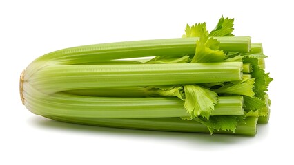 Fresh bundle of celery