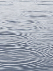 Fototapeta premium Ripples on calm water surface creating concentric circles in serene blue grey tones