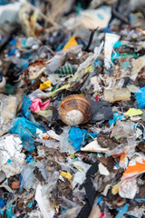 shredded and pressed recyclable plastic waste that has been burned and causes environmental pollution.