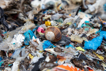 shredded and pressed recyclable plastic waste that has been burned and causes environmental pollution.