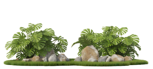 Tropical plants in rock garden isolated on transparent background